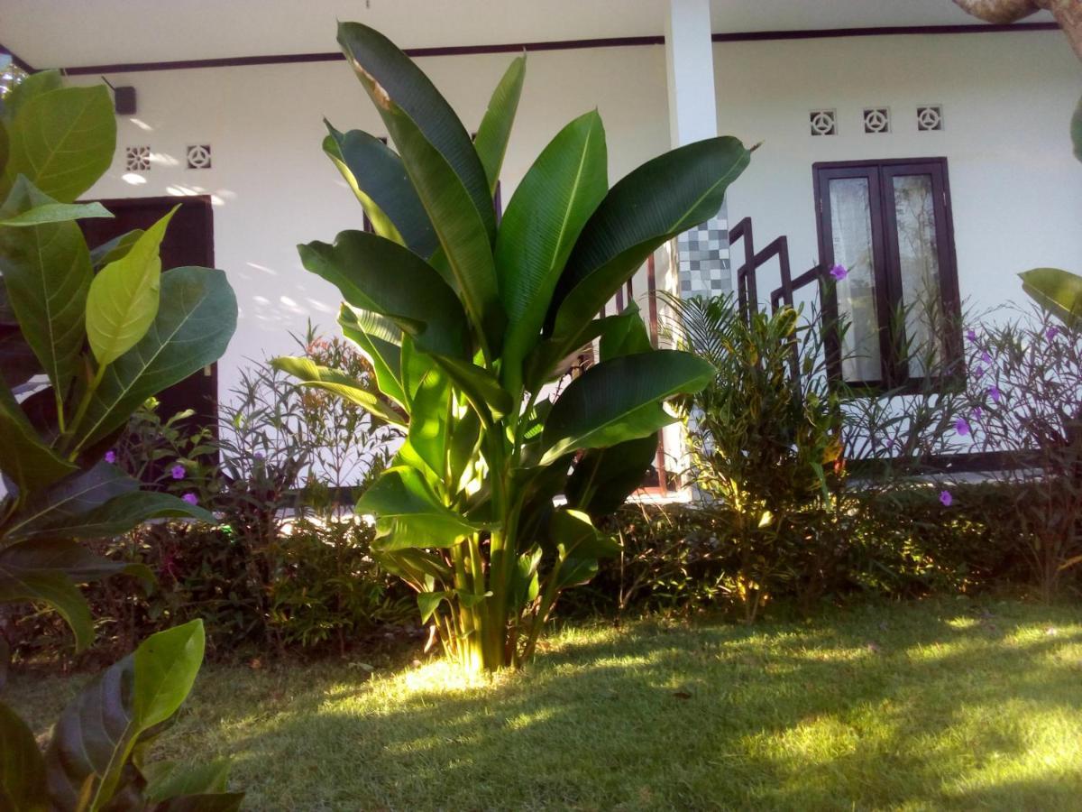 Ariata Arya Hostel Kuta  Zewnętrze zdjęcie